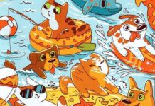 بازی فکری : استخوان پنهان در تصویر