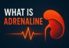 آدرنالین چیست