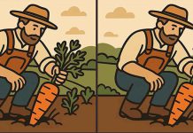 بازی فکری : تفاوت تصاویر آقای کشاورز