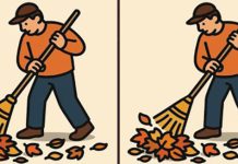 بازی فکری : تفاوت تصاویر آقای رفتگر