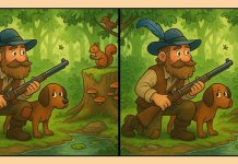 بازی فکری : 3 تفاوت تصویر آقای شکارچی کجاست؟
