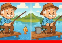 بازی فکری : 3 تفاوت تصویر آقای ماهی گیر کجاست؟