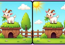 بازی فکری : 3 تفاوت تصویر بزی شیطون کجاست؟