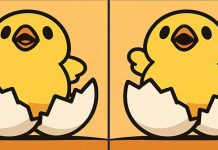 بازی فکری : 3 تفاوت تصویر جوجه طلایی کجاست؟