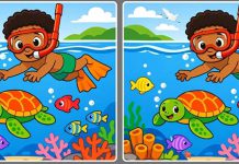 بازی فکری : 3 تفاوت تصویر پسرک غواص کجاست؟