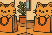 بازی فکری : 3 تفاوت تصویر پیشی بامزه کجاست؟