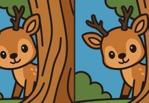 بازی فکری : 3 تفاوت تصویر بچه آهوی خجالتی کجاست؟