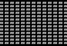 بازی فکری : عدد 888 کجاست؟