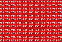 بازی فکری : آیا می توانید فقط در 5 ثانیه عدد 985 را پیدا کنید؟