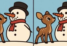 بازی فکری : 3 تفاوت تصویر آقای آدم برفی و آهو کوچولو کجاست؟