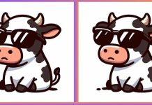 بازی فکری : 3 تفاوت تصویر آقای گاو کجاست؟