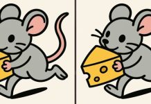 بازی فکری : 3 تفاوت تصویر موش فراری کجاست؟