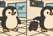 بازی فکری : 3 تفاوت تصویر پنگوئن مسافر کجاست؟