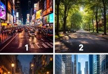 تست شخصیت شناسی کدام خیابان را انتخاب می کنید