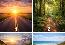 روانشناسی شخصیت یک مسیر را انتخاب کنید