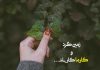 متن های سنگین در مورد کارما