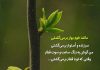 اشعار زیبای هادی خورشاهیان
