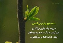 اشعار زیبای هادی خورشاهیان