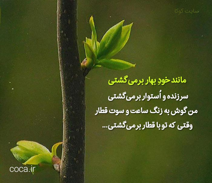 اشعار زیبای هادی خورشاهیان