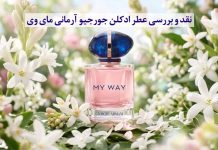 نقد و بررسی عطر ادکلن جورجیو آرمانی مای وی