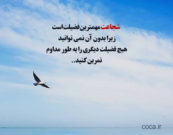 نقل قول امروز از مایا آنجلو
